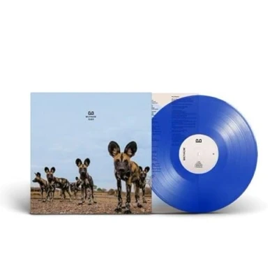Afbeelding van Balthazar Fever (LP)