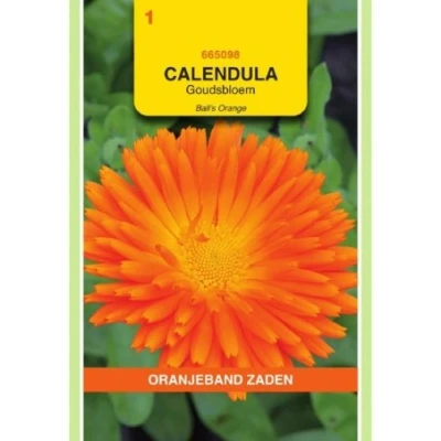 Afbeelding van Calendula goudsbloem ball&#039;s orange