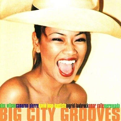 Afbeelding van Various Artists Big City Grooves (CD)