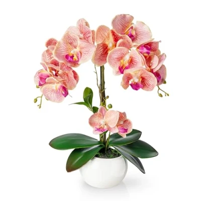 Afbeelding van PASCH Kunstorchideeën in glanzende keramische pot (40 cm) kunstbloemen als echte kunstmatige orchideeën