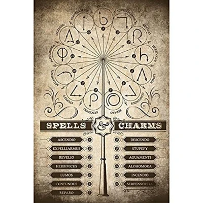 Afbeelding van Poster Harry Potter Spells and Charms 61x91,5cm