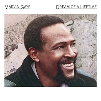 Afbeelding van Dream Of A Lifetime