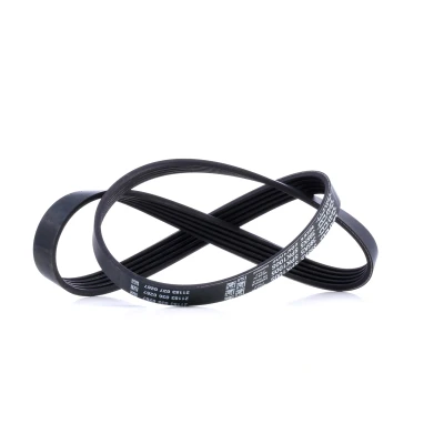 Afbeelding van Poly V riem DAYCO 5PK1005