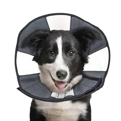 Afbeelding van Zencone Soft Recovery Collar Large