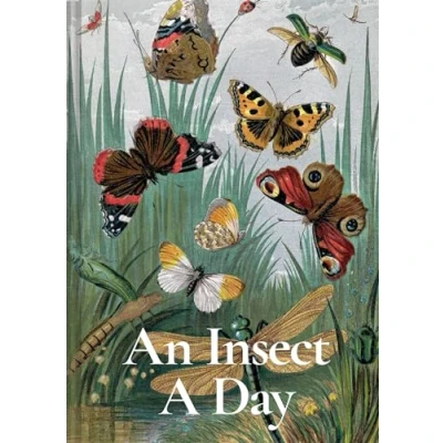 Afbeelding van A Day An Insect