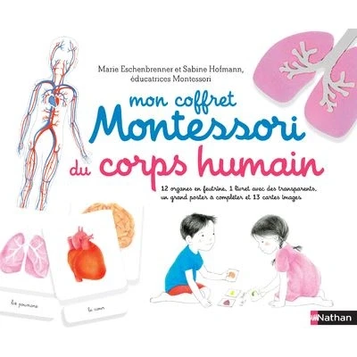 Image de Mon coffret Montessori du corps humain