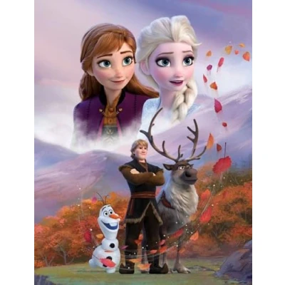 Afbeelding van Disney Frozen Plaid GROOT 130 x 170cm Fleece Deken Fleecedeken Cadeau Meisje 5 Jaar 3 Verjaardagscadeau Kind