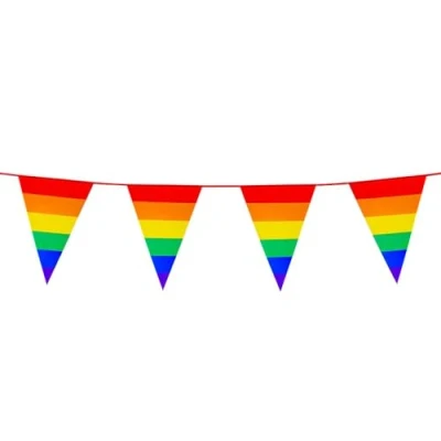 Afbeelding van Boland PE vlaggenlijn Regenboog