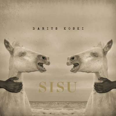 Afbeelding van Sisu (LP)