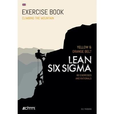 Afbeelding van Lean Six Sigma Orange Belt
