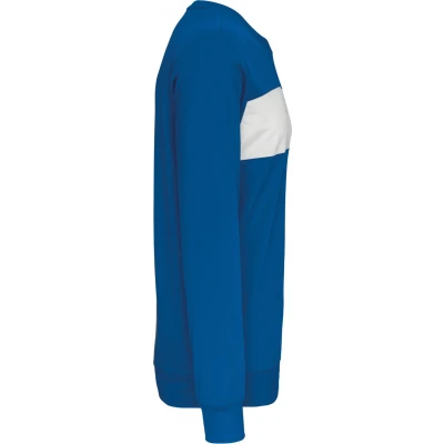 Afbeelding van PROACT Sweater in polyester kind PA374 Sporty Royal Blue / White