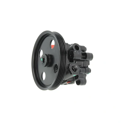 Afbeelding van Lauber Servopomp 55.0052