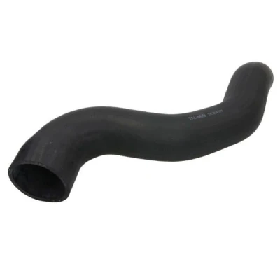 Afbeelding van THERMOTEC DCI041TT Laadluchtslang LAND ROVER: Range Rover 3, Sport