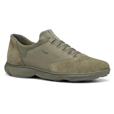 Afbeelding van Geox Sneakers laag, Heren, Maat: 42, Sage Leer en textiel