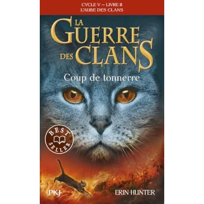 Afbeelding van LA GUERRE DES CLANS CYCLE 5,2:COUP DE TONNERRE