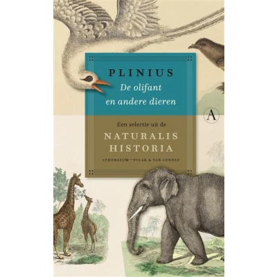 Image de De olifant en andere dieren