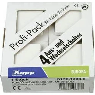 Afbeelding van Kopp 617613086 Wisselschakelaar Inzetstuk Europa Arctisch wit, Mat