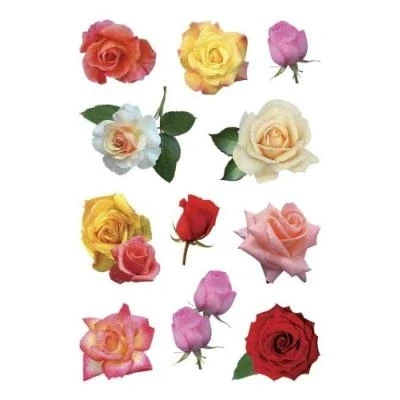 Image de Herma stickers decor roses sans tiges 3 feuilles 85 x120 mm de 11 3308