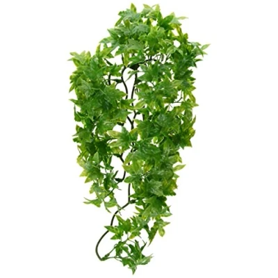 Afbeelding van Zoo Med Terrariumplant Medium Congo Ivy