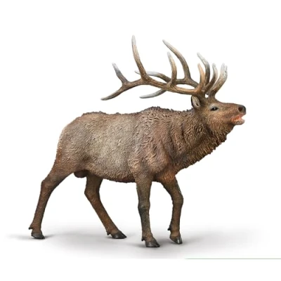 Afbeelding van COLLECTA Eland (XL).