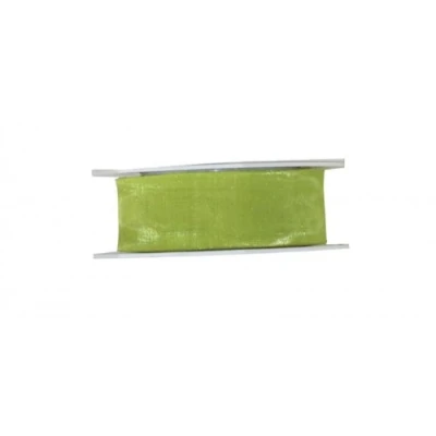 Afbeelding van PRÄSENT Sheer Organza lint limoen (groen) 25 meter geschenkverpakking 40 mm breed, accessoires voor decoratie en knutselen, decoratief geschenken