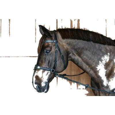 Afbeelding van Hoofdstel COB Buffelleer Zwart