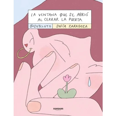 Afbeelding van la ventana que se abrió al cerrar puerta