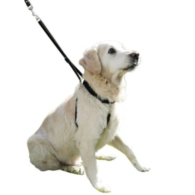 Afbeelding van Kerbl Anti Trekband Maxi Leader Zwart 30 45cm