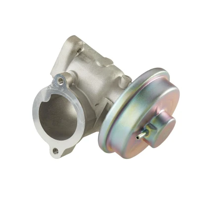 Afbeelding van Hella EGR klep 6NU 010 171 011