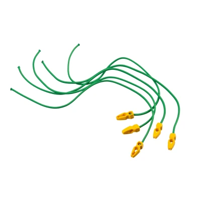 Afbeelding van Nature Elastische Band Met Clip Klim En Geleide Artikel 0.5x0.5x65 cm Groen