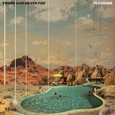 Afbeelding van Young Gun Silver Fox Pleasure (LP)