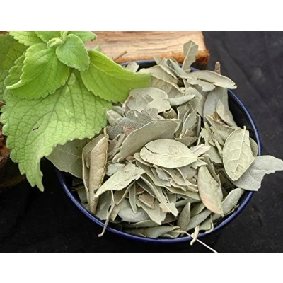 Image de Naturix24 Feuilles Boldo complètes 100 g