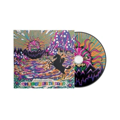 Afbeelding van Chubby And The Gang Then There Was... (CD)