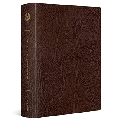 Afbeelding van ESV Single Column Journaling Bible, Large Print