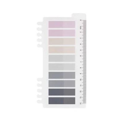 Afbeelding van 200 stuks zelfklevende notitietabbladen, grijze stijl, pastelstickers met liniaal voor paginamarkering, bladwijzer (A Winter&#039;s Frost stuk)