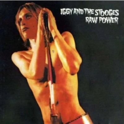 Afbeelding van Iggy &amp; the Stooges Raw Power (2 LPs)