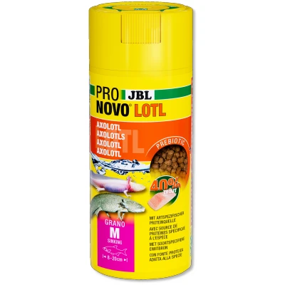 Afbeelding van JBL Pronovo Lotl Grano M