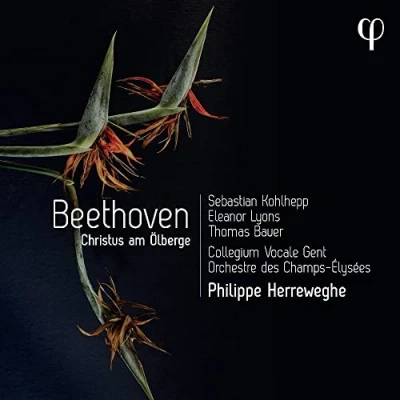 Afbeelding van Collegium Vocale Gent, Philippe Herreweghe Beethoven: Christus Am Ölberge Op.85 (CD)