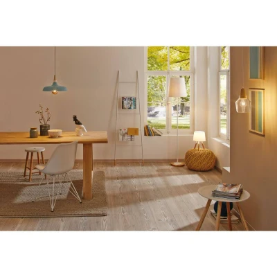 Afbeelding van Paulmann Neordic Juna 79655 Hanglamp LED E27 20 W Zachtgroen, Koper, Hout
