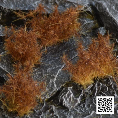 Afbeelding van Gamers Grass Spikey Brown Wild Tuft 12mm GGK B