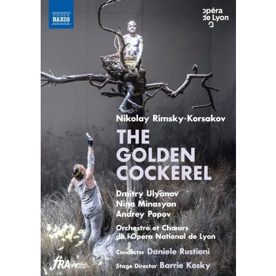 Afbeelding van Nina Minasyan , Margarita Neksarova, Andrey Popov The Golden Cockerel (DVD)
