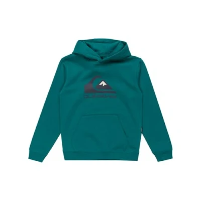 Afbeelding van Quiksilver BIG LOGO Hoodie Youth Unisex voor kinderen, Maat: 128, Teal green