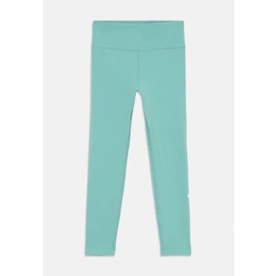 Afbeelding van Nike Performance Legging, Dames, Maat: 156/166, Cannon/white