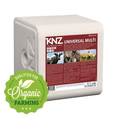 Afbeelding van Pierre de sel universelle KNZ, 10 kg, KNZ Convient aux Bovins Vaches