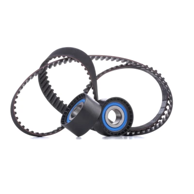 Afbeelding van Distributieriemset SKF VKMA 02386