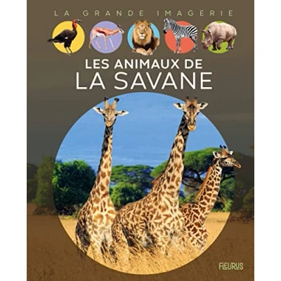 Afbeelding van La Grande Imagerie Fleurus