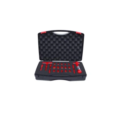Afbeelding van KS Tools, Dopsleutel + dopmoer, 1/4 inch doppenset met geïsoleerd gereedschap, 21 stuks.
