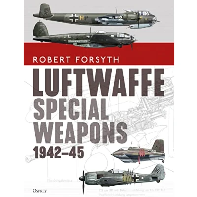 Afbeelding van Luftwaffe Special Weapons 194245