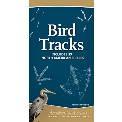 Afbeelding van Adventure Quick Guides Bird Tracks
