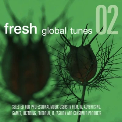 Afbeelding van Various Artists Fresh Global Tunes 2 (CD)